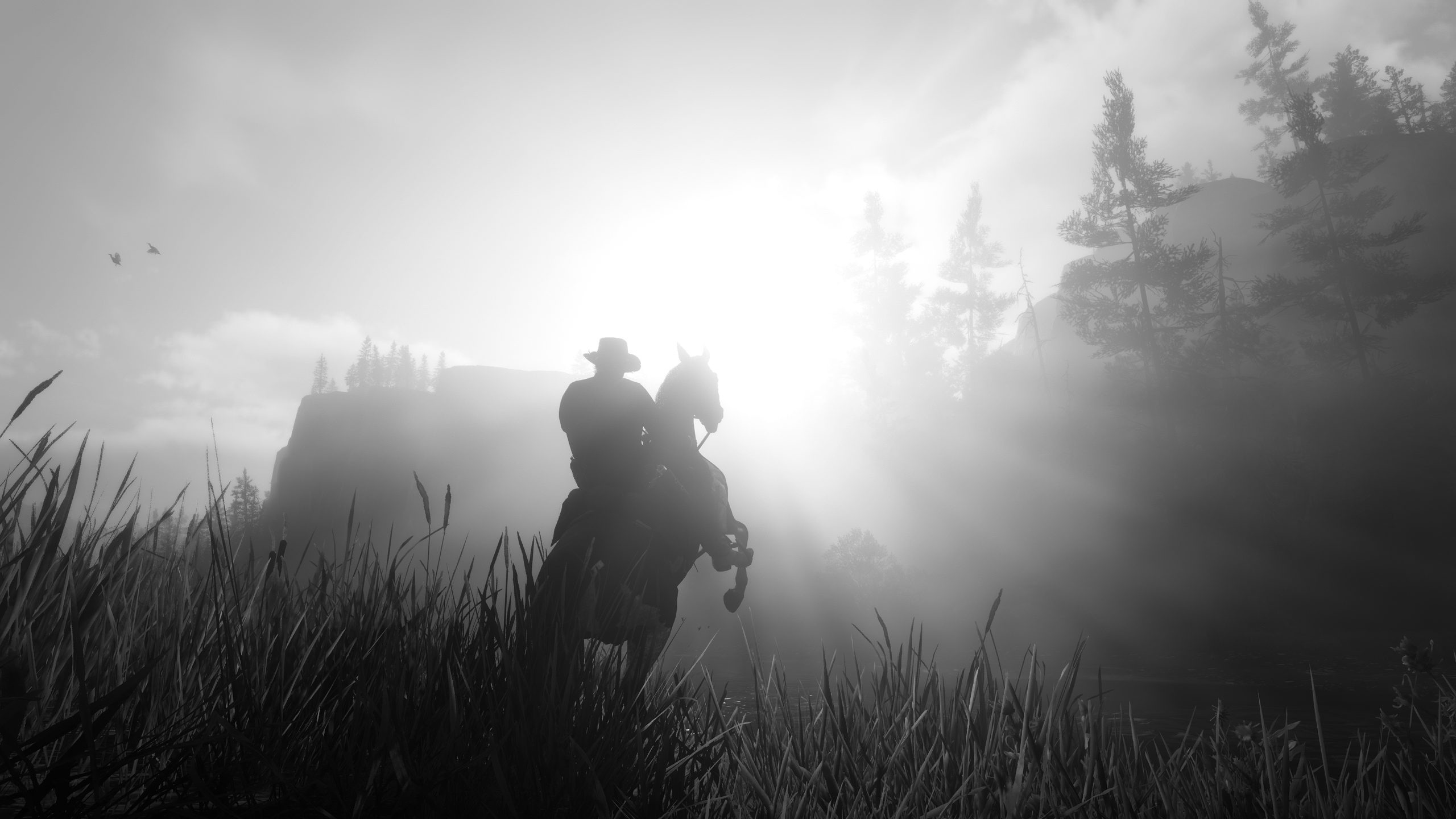 Name:  Red_Dead_Redemption_2_Screenshot_2021.04.08_-_18.09.01.64.png
Views: 586
Size:  3.03 MB