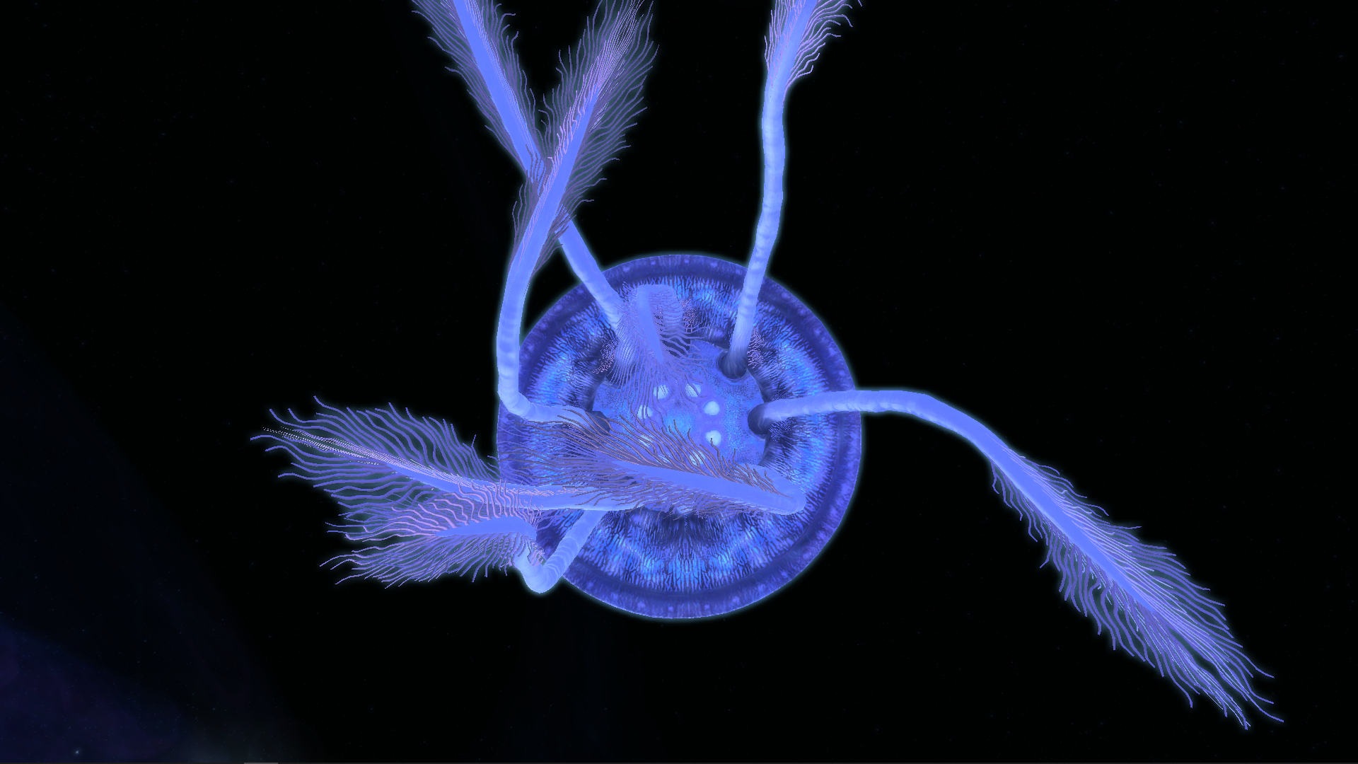 Name:  Jellyfish_Bottom.png
Views: 425
Size:  1.39 MB