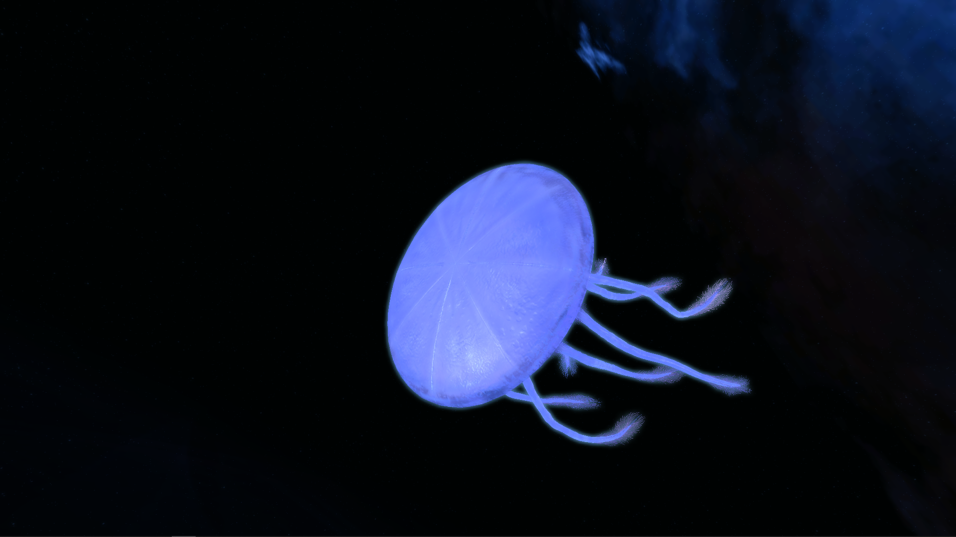 Name:  Jellyfish_3-4.png
Views: 417
Size:  861.6 KB