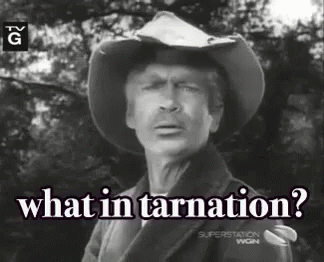 Name:  what-in-tarnation-jed-clampett.gif
Views: 411
Size:  1.27 MB