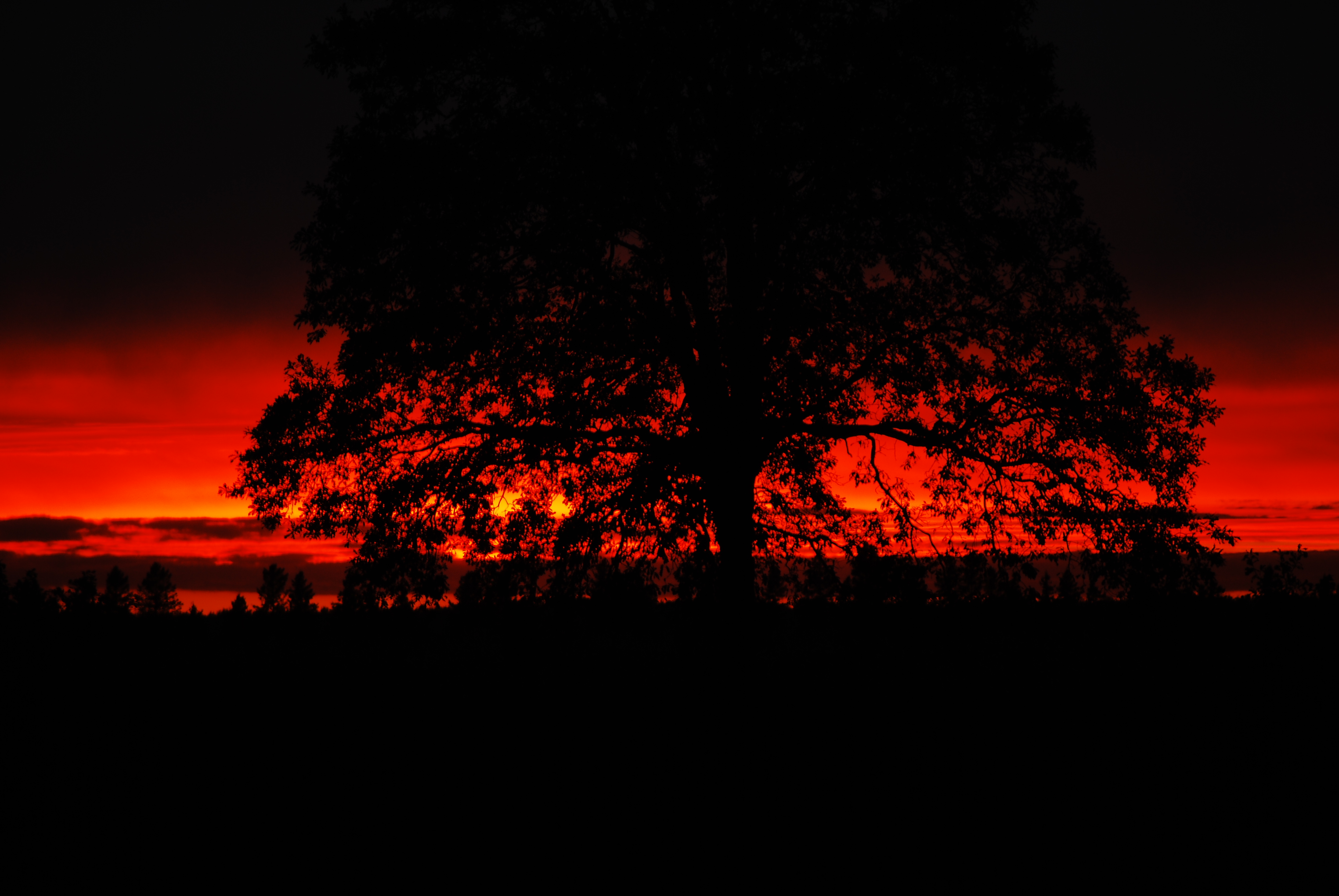 Name:  Fire Sunset.JPG
Views: 2316
Size:  2.39 MB