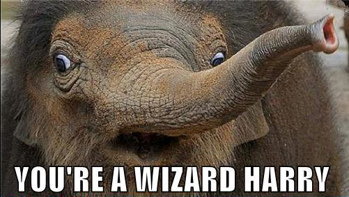 Name:  funny_elephant_youre_a_wizard_harry.png
Views: 349
Size:  229.4 KB