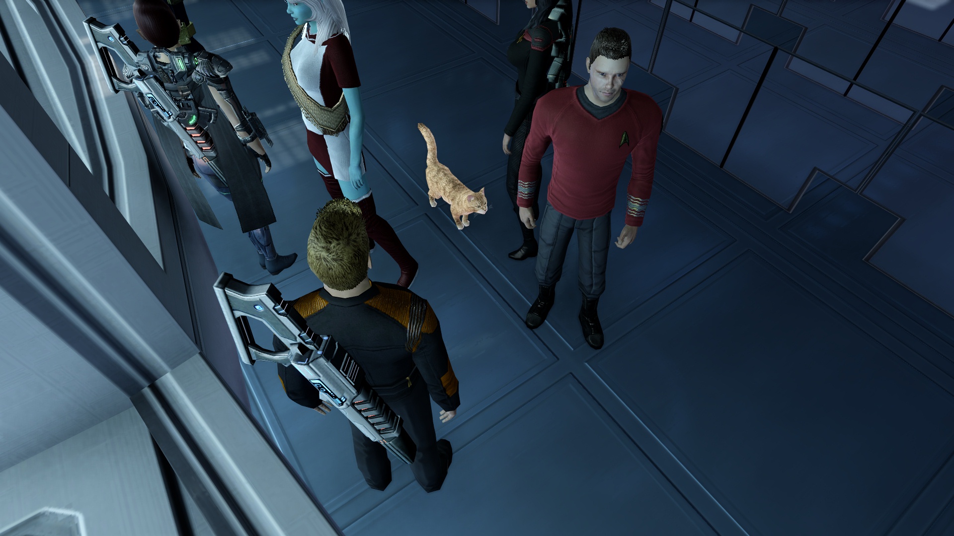 Delven McClaine finds a kitty in the academy!